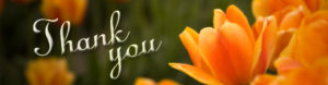 Thank-you-Banner